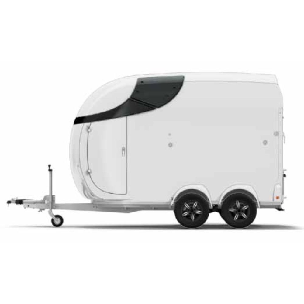 VAN A CHEVAUX BOCKMANN - NEO SKA